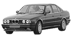 BMW E34 P1196 Fault Code