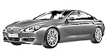 BMW F06 P1196 Fault Code